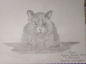 Выставка рисунков 2022 "Animalium"