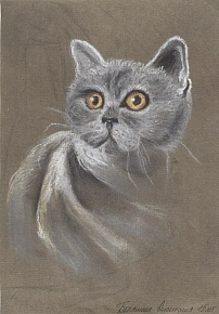 Выставка рисунков 2022 "Animalium"