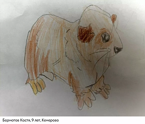 Выставка рисунков 2022 "Animalium"